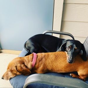 Meet your Posher, Jong